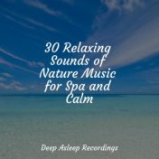 30 Relaxing Sounds of Nature Music for Spa and Calm