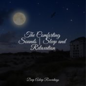 The Comforting Sounds | Sleep and Relaxation