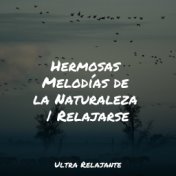 Hermosas Melodías de la Naturaleza | Relajarse