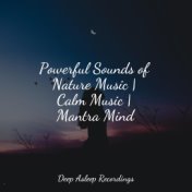 Powerful Sounds of Nature Music | Calm Music | Mantra Mind