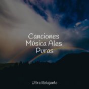 Canciones Música Ales Puras