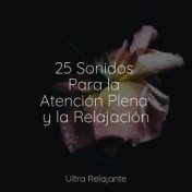 25 Sonidos Para la Atención Plena y la Relajación