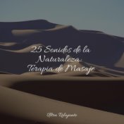 25 Sonidos de la Naturaleza: Terapia de Masaje