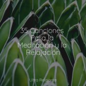 35 Canciones Para la Meditación y la Relajación