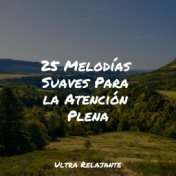 25 Melodías Suaves Para la Atención Plena