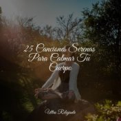 25 Canciones Serenas Para Calmar Tu Cuerpo