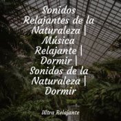 Sonidos Relajantes de la Naturaleza | Música Relajante | Dormir | Sonidos de la Naturaleza | Dormir