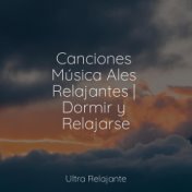 Canciones Música Ales Relajantes | Dormir y Relajarse