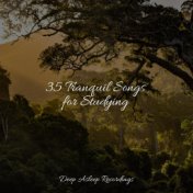 35 Tranquil Songs for Studying