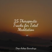 25 Therapeutic Tracks for Total Meditation