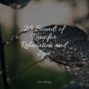 25 Sounds of Rain for Relaxation and Spa