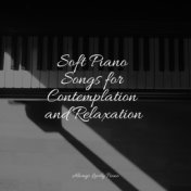 Soft Piano Songs for Contemplation and Relaxation