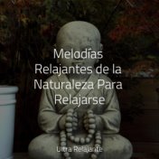 Melodías Relajantes de la Naturaleza Para Relajarse