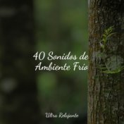 40 Sonidos de Ambiente Frío