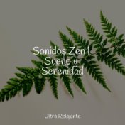 Sonidos Zen | Sueño y Serenidad