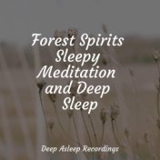 Forest Spirits Sleepy Meditation and Deep Sleep