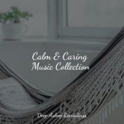 Calm & Caring Music Collection