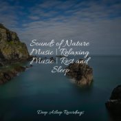 Sounds of Nature Music | Relaxing Music | Rest and Sleep