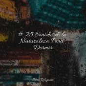 # 25 Sonidos de la Naturaleza Para Dormir