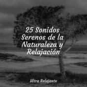 25 Sonidos Serenos de la Naturaleza y Relajación