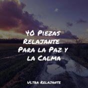 40 Piezas Relajante  Para la Paz y la Calma