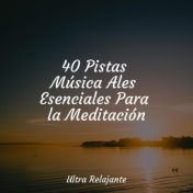 40 Pistas Música Ales Esenciales Para la Meditación