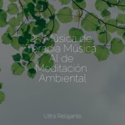 25 Música de Terapia Música Al de Meditación Ambiental