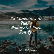 25 Canciones de Sueño Ambiental Para Zen Spa