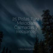 25 Pistas Para Melodías Calmadas y Relajantes