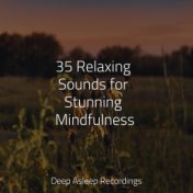 35 Relaxing Sounds for Stunning Mindfulness