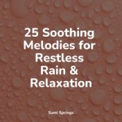 25 Soothing Melodies for Restless Rain & Relaxation