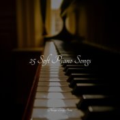 25 Soft Piano Songs