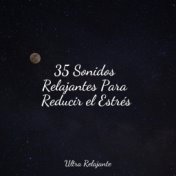 35 Sonidos Relajantes Para Reducir el Estrés