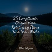 25 Compilación Clásica Para Relajarse y Pasar Una Gran Noche