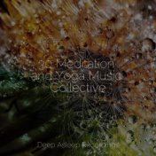 30 Meditation and Yoga Music Collective