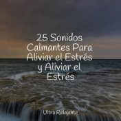 25 Sonidos Calmantes Para Aliviar el Estrés y Aliviar el Estrés