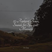 25 Ambient Rain Sounds for Spa and Massage