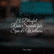 25 Blissful Rain Sounds for Spa & Wellness