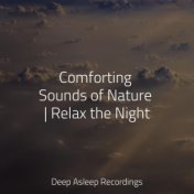 Comforting Sounds of Nature | Relax the Night