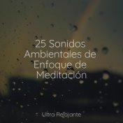 25 Sonidos Ambientales de Enfoque de Meditación