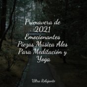 Primavera de 2021 Emocionantes Piezas Música Ales Para Meditación y Yoga