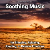 Soothing Music for Sleeping, Relaxing, Reading, to Release Emotions