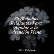 25 Melodías Relajantes Para Ayudar a la Atención Plena