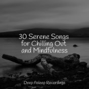 30 Serene Songs for Chilling Out and Mindfulness