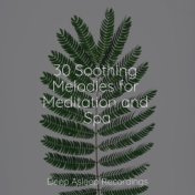 30 Soothing Melodies for Meditation and Spa