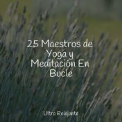 25 Maestros de Yoga y Meditación En Bucle