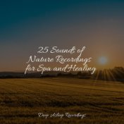25 Sounds of Nature Recordings for Spa and Healing