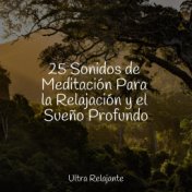 25 Sonidos de Meditación Para la Relajación y el Sueño Profundo