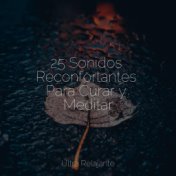 25 Sonidos Reconfortantes Para Curar y Meditar