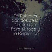 25 Potentes Sonidos de la Naturaleza Para el Yoga y la Relajación